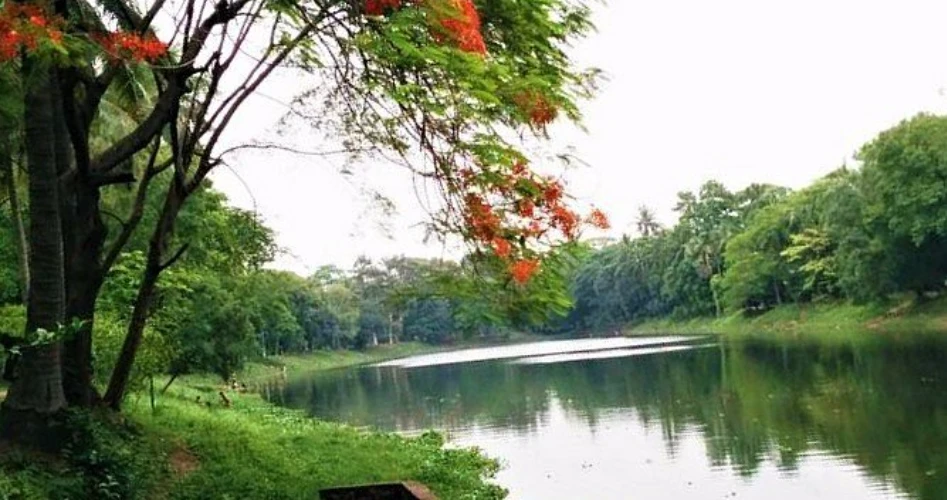 Things to Do in Dhaka, Bangladesh: A Complete Traveler’s Guide