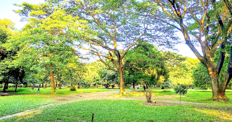 Top Attractions in Dhaka, Bangladesh: Explore the City’s Heritage and Heartbeat