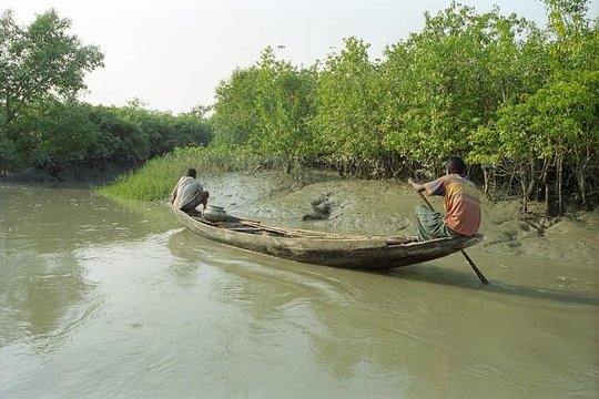 صورة الجولة 14