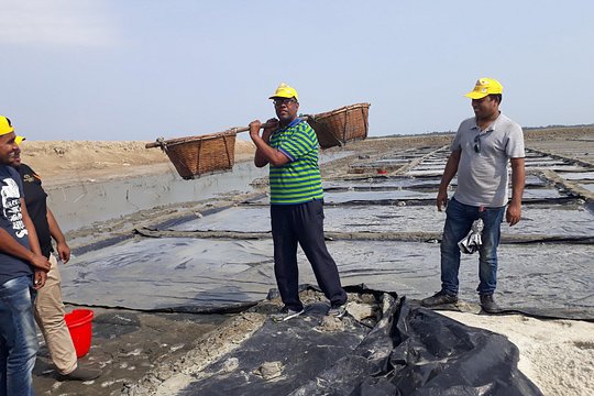 صورة الجولة 5