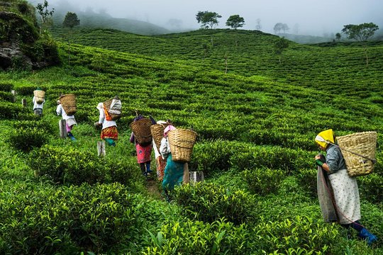 صورة الجولة 6