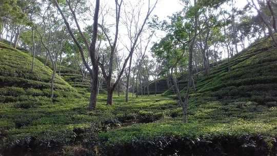 Tour image 1