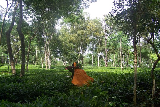 صورة الجولة 6