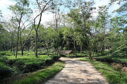 Tour image 7