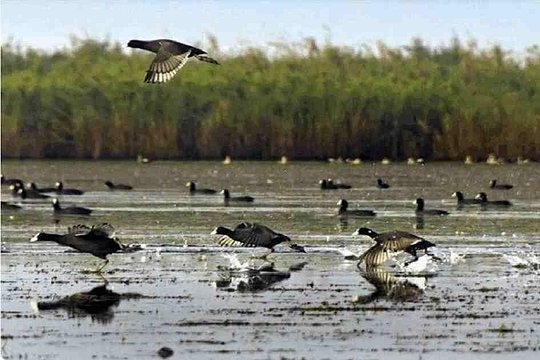 صورة الجولة 5