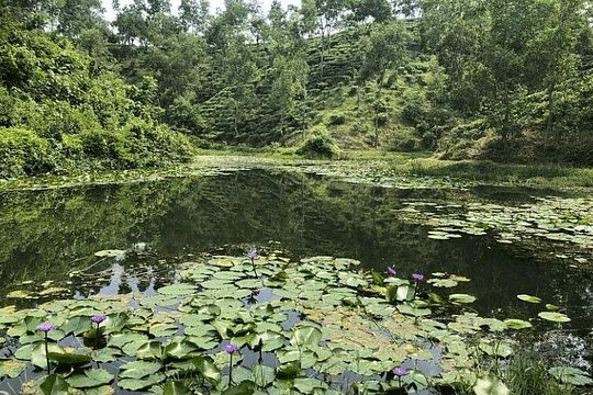 صورة الجولة 4